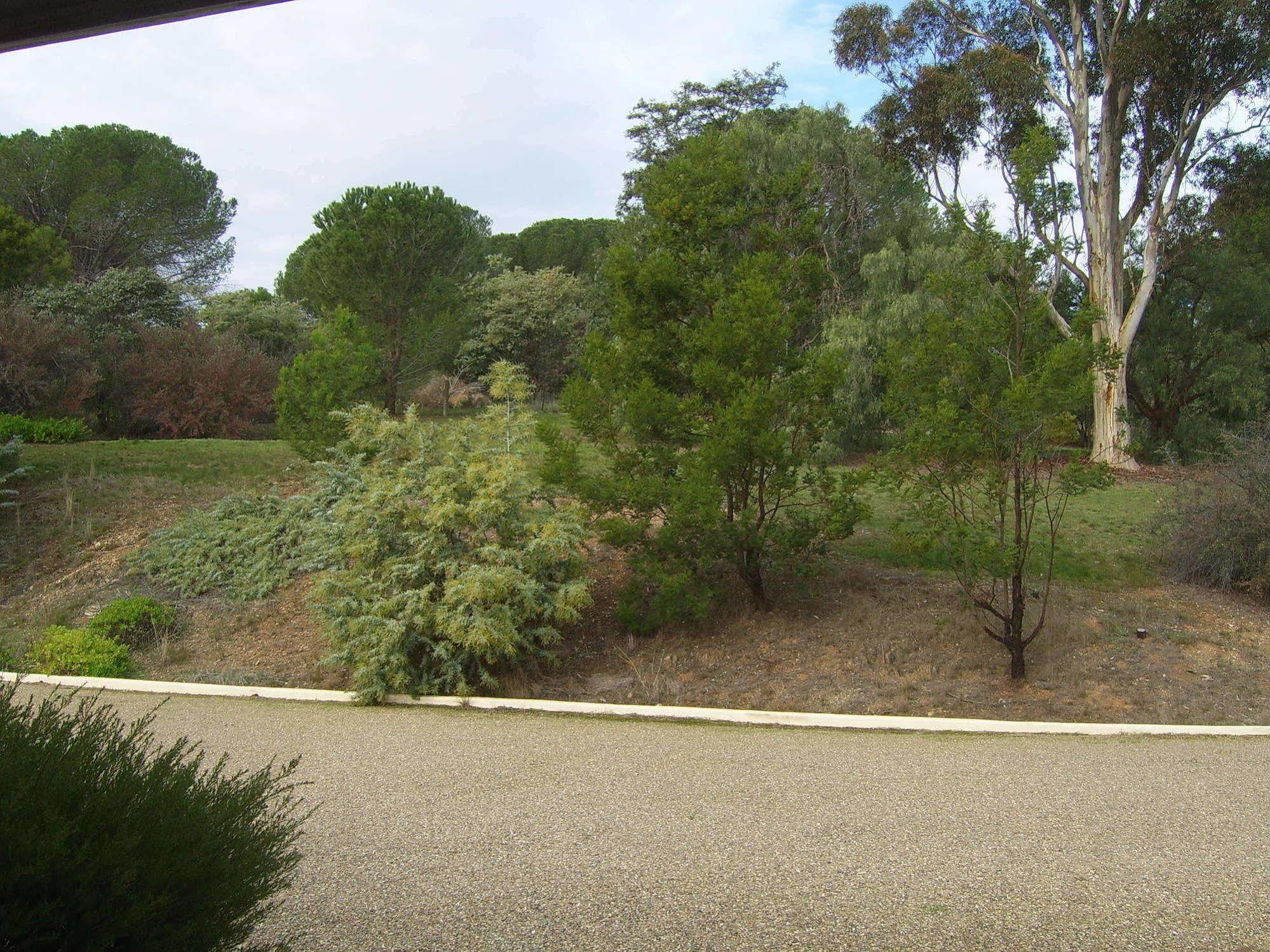 Garden Motor Inn Gundagai Εξωτερικό φωτογραφία