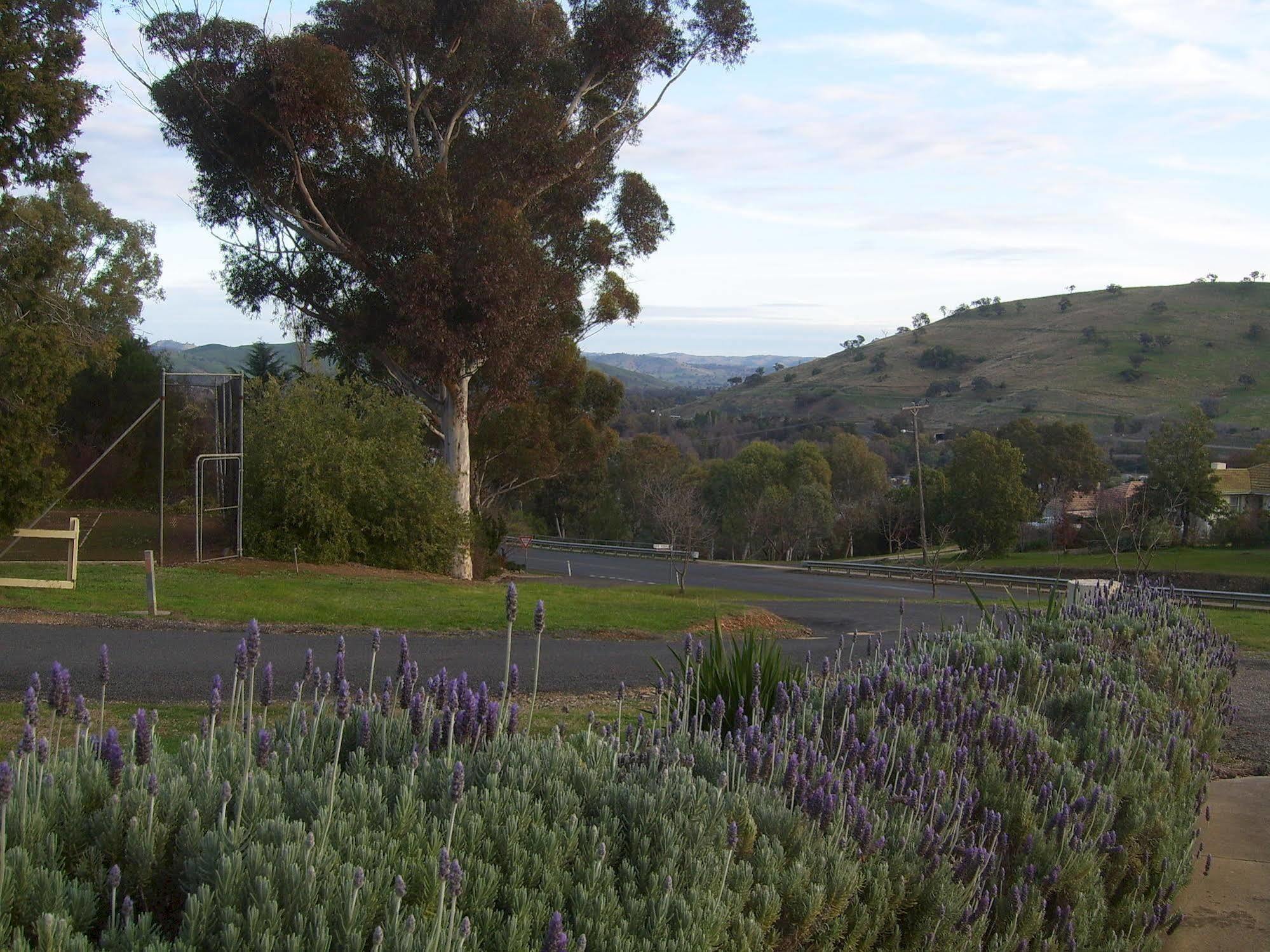 Garden Motor Inn Gundagai Εξωτερικό φωτογραφία