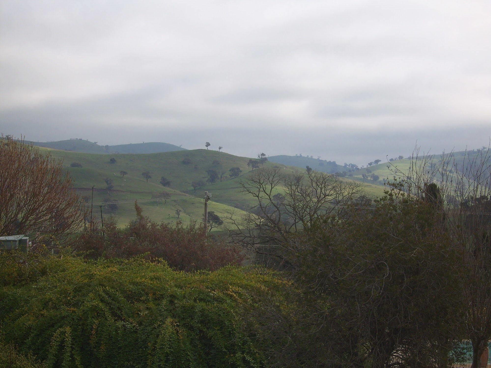Garden Motor Inn Gundagai Εξωτερικό φωτογραφία
