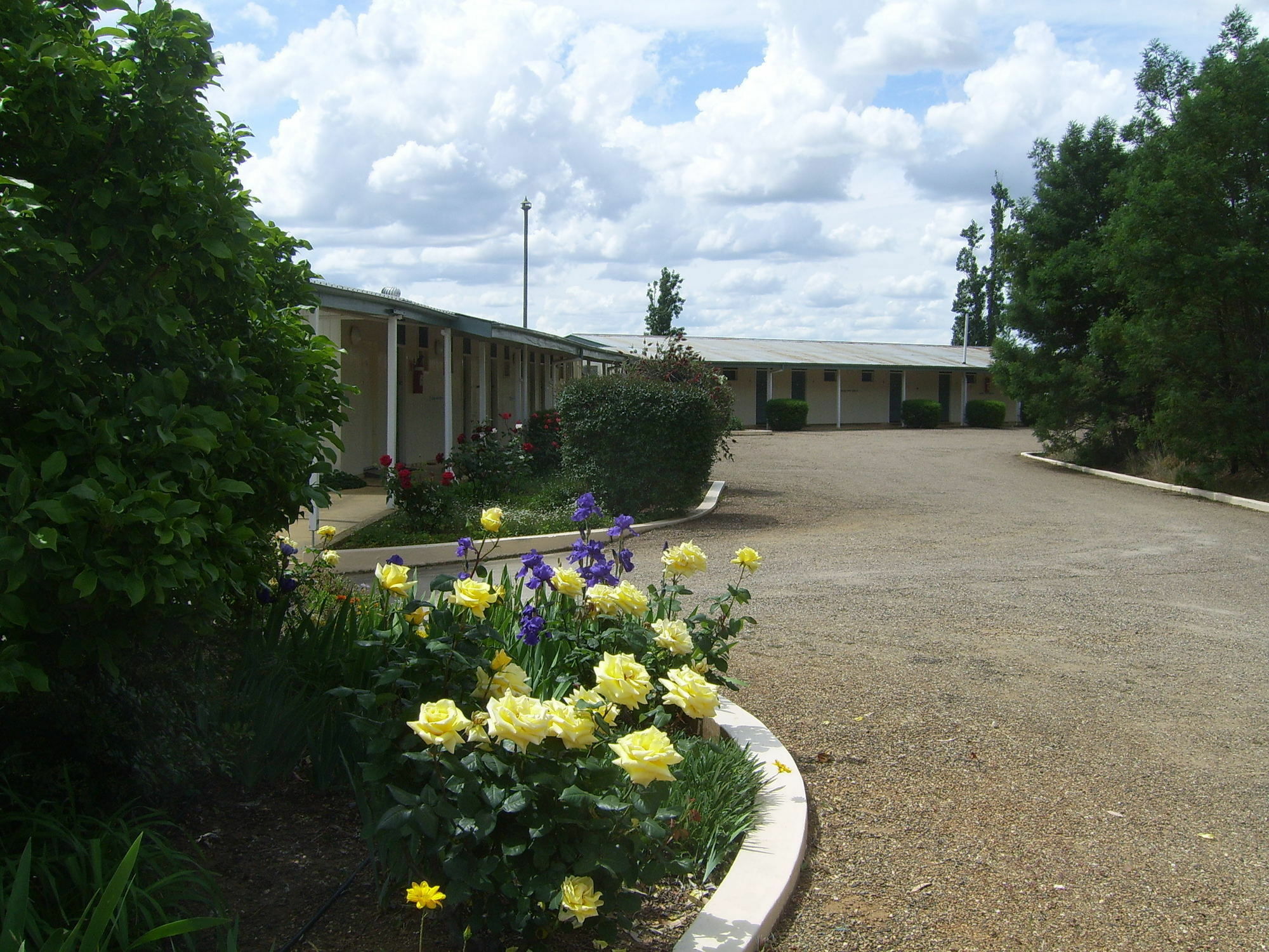 Garden Motor Inn Gundagai Εξωτερικό φωτογραφία